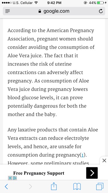 aloe übersetzung Aloe Vera „Alfonso“ – Aloe-Vera-Pflanze in Gärtnerqualität kaufen