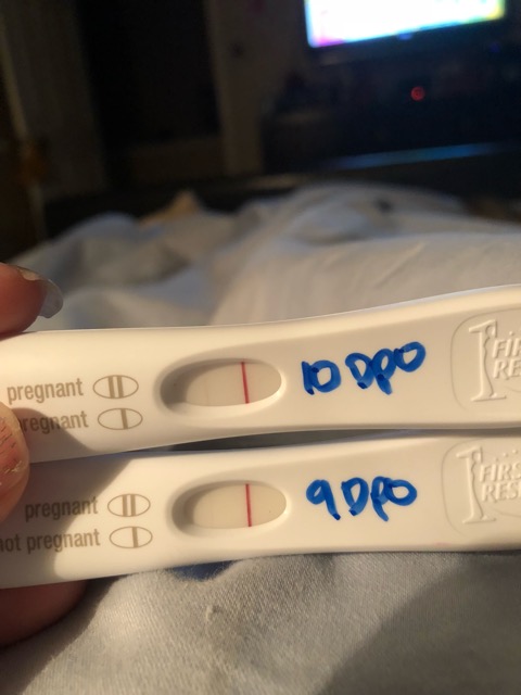 Frer Explained FRER Progression - Glow Community