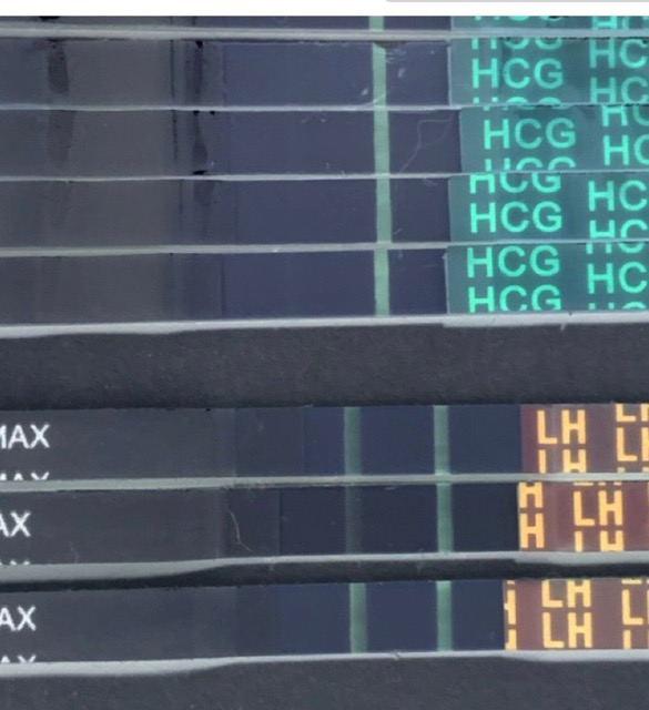 IVF Cycle 7DP 5DT Very Faint Line At 13 Days Past Trigger Glow Community ivf-cycle-7dp-5dt-very-faint-line-at-13-days-past-trigger-glow-community
